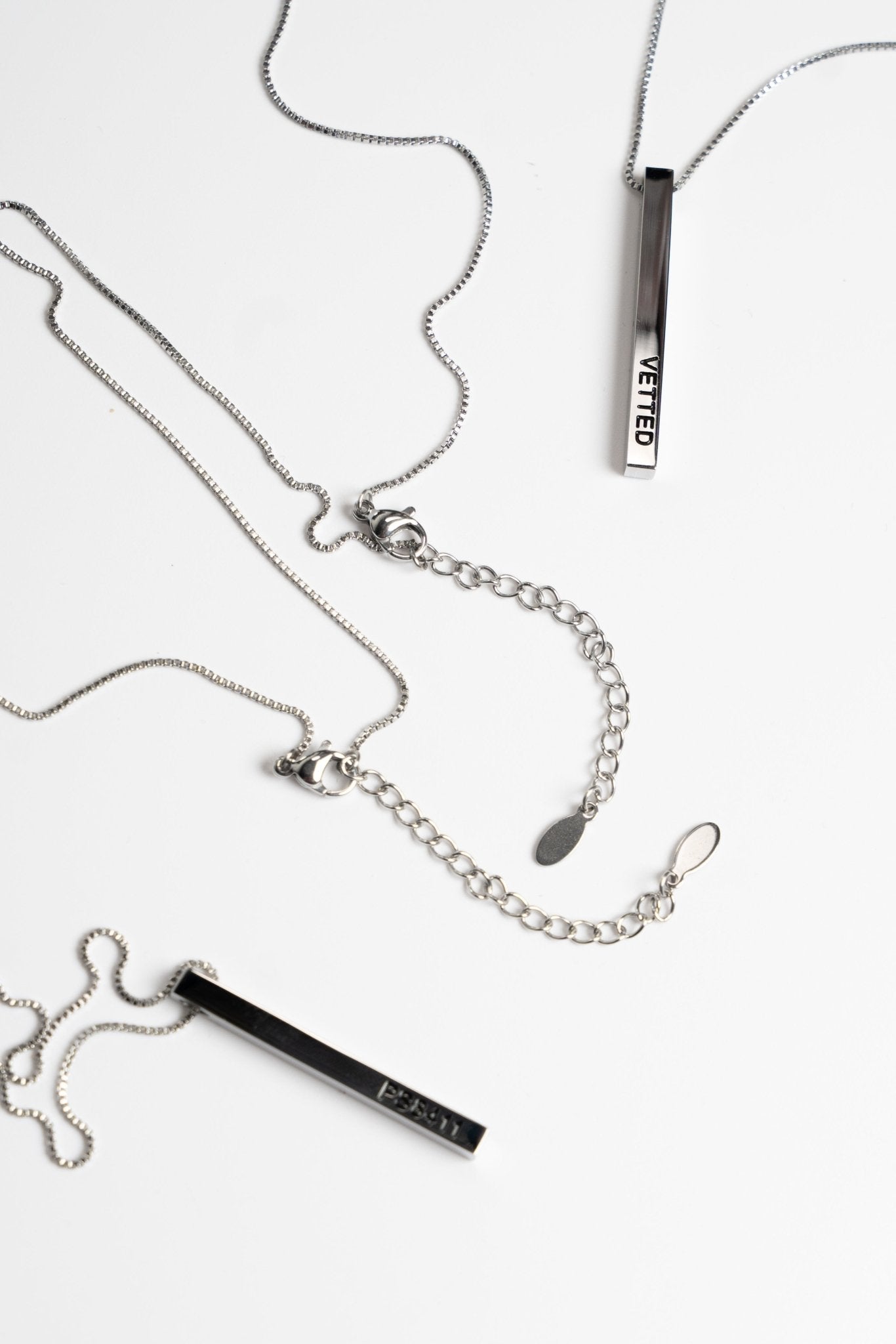 VETTED PENDANT & CHAIN
