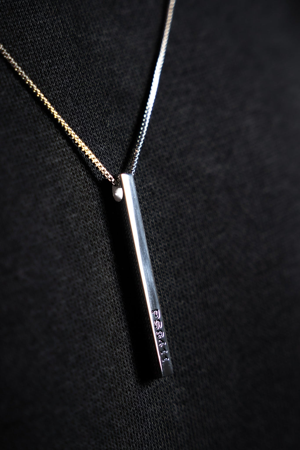 VETTED PENDANT & CHAIN